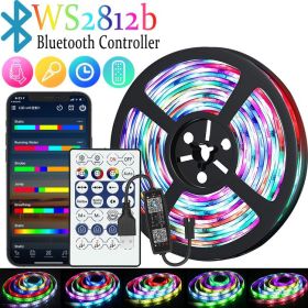 RGB Color-changing 5V Magic USB Light Strip (Option: WS2812b BHT IR-20M)