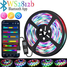 RGB Color-changing 5V Magic USB Light Strip (Option: WS2812b Bluetooth-1M)